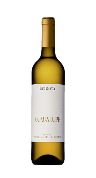 Guadalupe Winemaker’s Selection Branco 2019